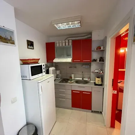 Studio Any Costineşti
